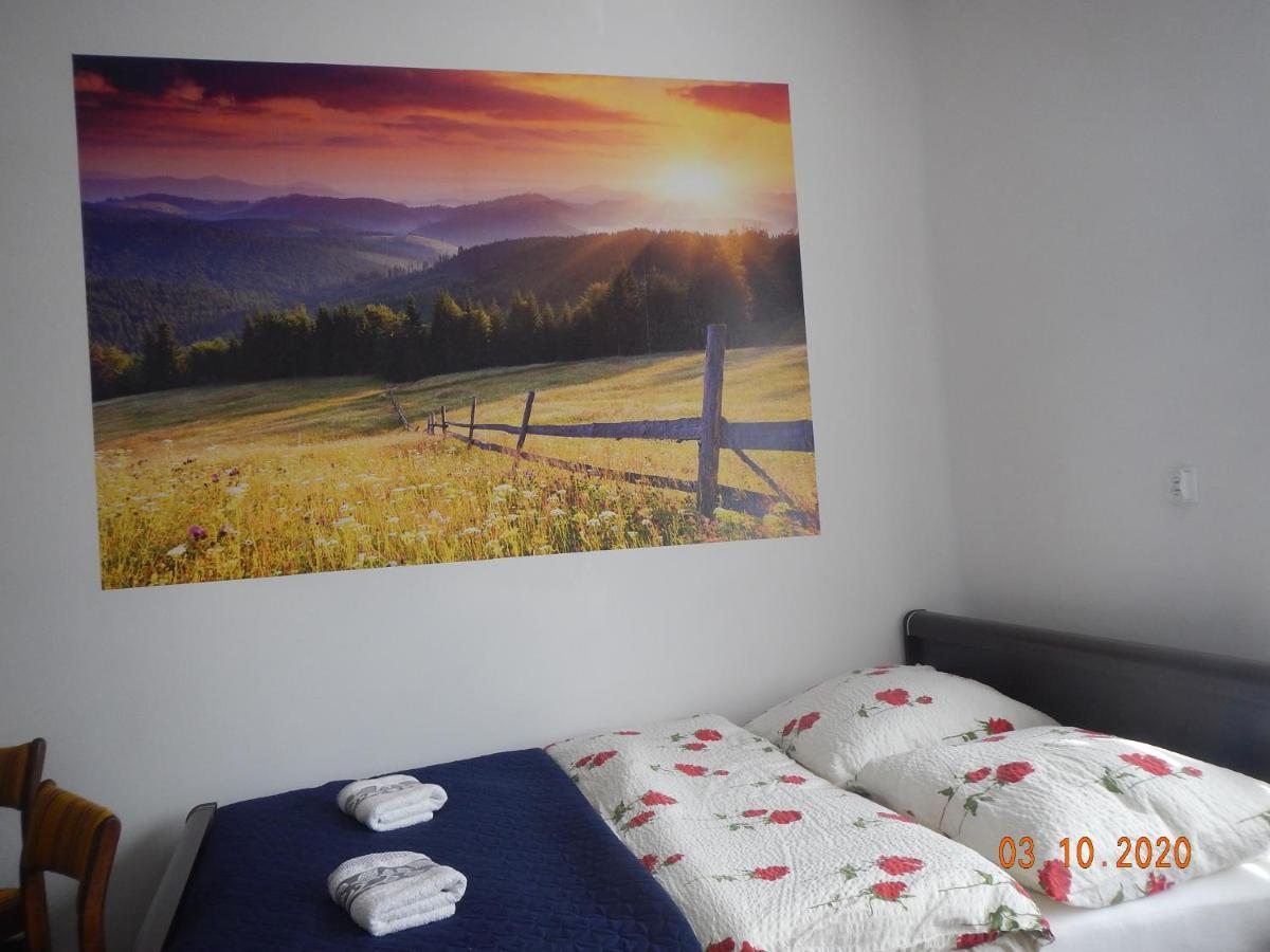 Apartament Providentia Zakopane Witkiewicza 3 Zewnętrze zdjęcie