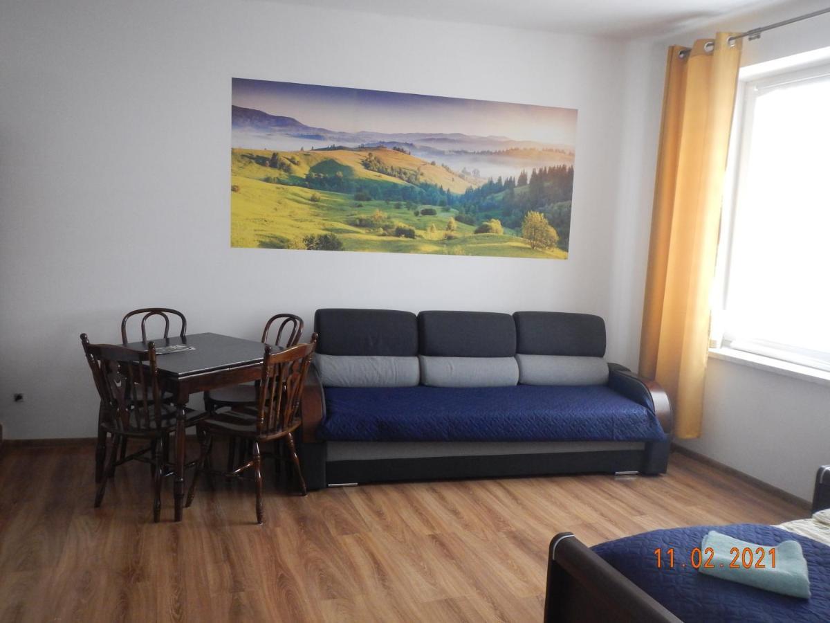 Apartament Providentia Zakopane Witkiewicza 3 Zewnętrze zdjęcie