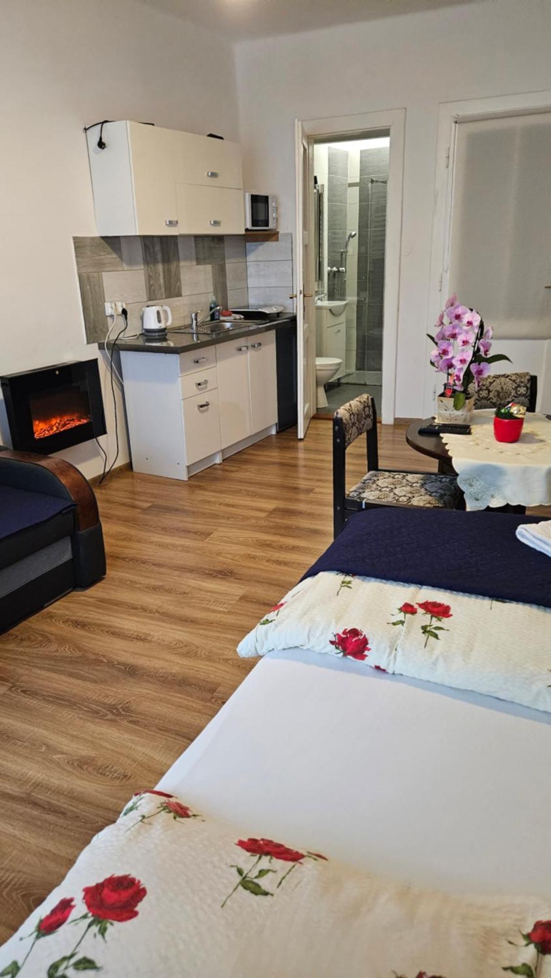 Apartament Providentia Zakopane Witkiewicza 3 Zewnętrze zdjęcie